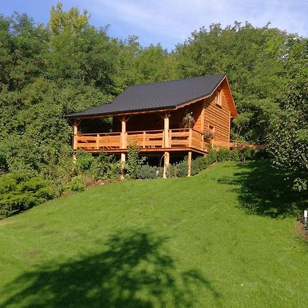 Villa Eden Ślesin Extérieur photo
