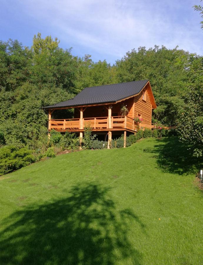 Villa Eden Ślesin Extérieur photo